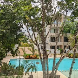 areva-suite-playa-del-carmen.allrivieramayahotels.com/